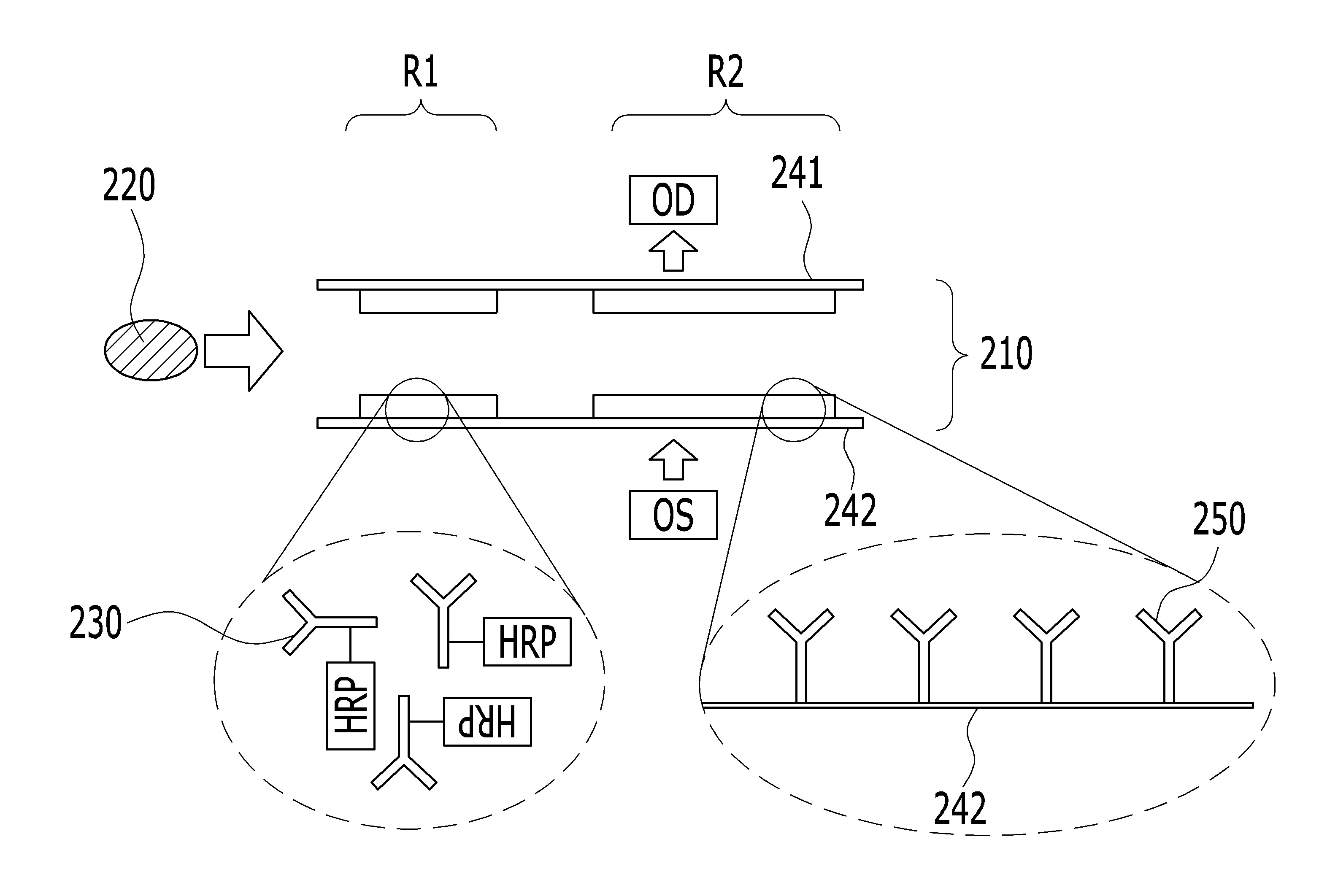 다층 바이오센서칩 및 이를 이용하는 바이오마커 측정장치